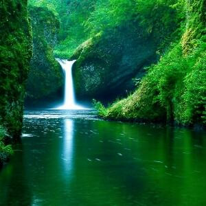 淡雅似水