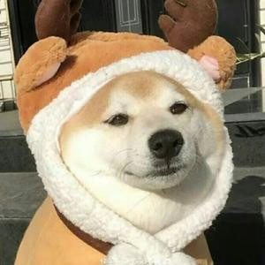 清秋