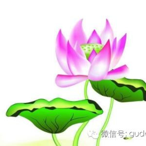 清新