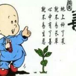 i391384696杨