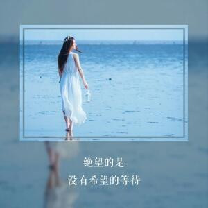 木槿暖夏