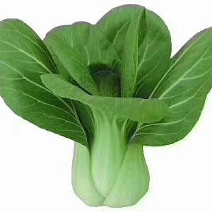 一颗白菜