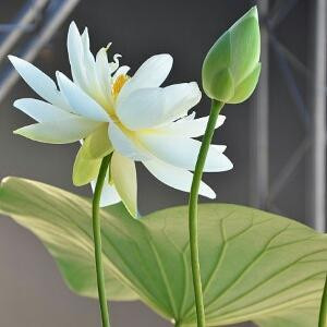 悠然