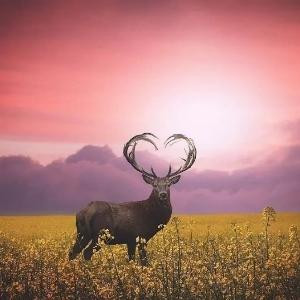 千言万语话一夜