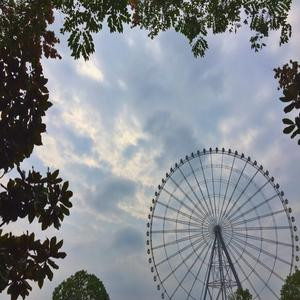 枫凝丫子