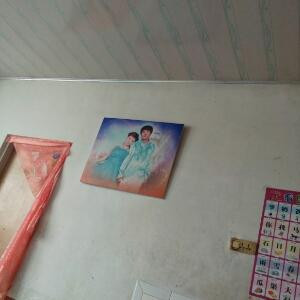 金木水火土