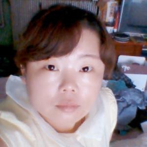 呆呆萍