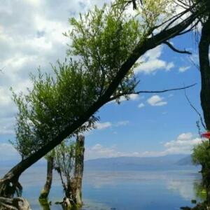 爱走，心碎，不恋