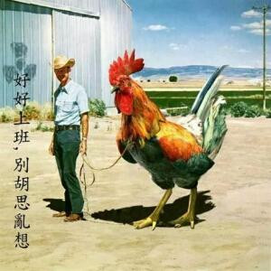 爱的动力