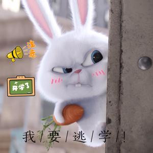 我只关注贱人啊