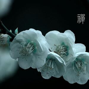 转身一抹背影