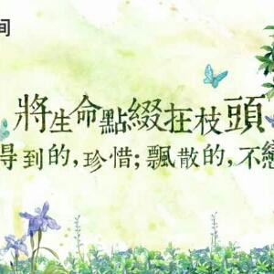 一怒为红颜