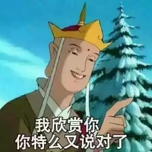 会飞的虎