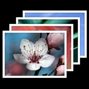 落花