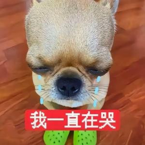 暮玲雪
