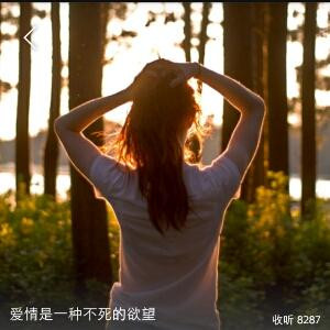 肉包包