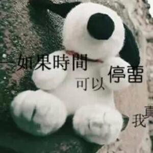 在美也是一场梦