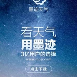 无情趣意