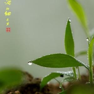 同读经典