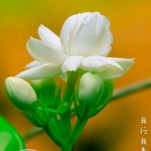 问题书友
