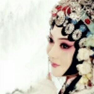 小白鸽阅读书屋