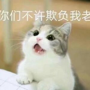 路