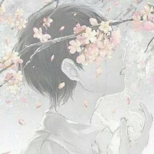 雨落未殇