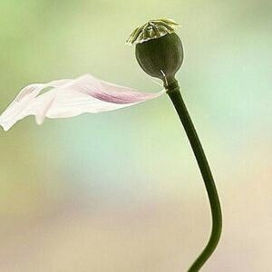 蜕变