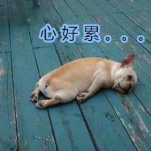 半暖半夏半流年