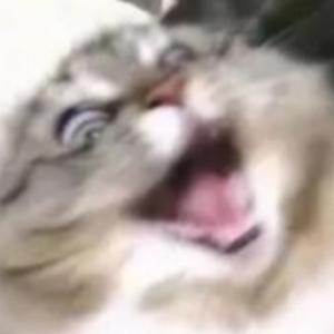 欻欻