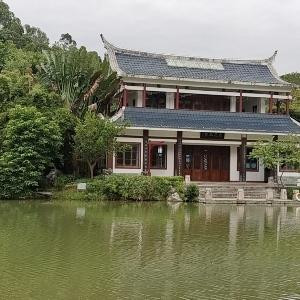 王姐姐