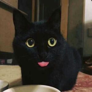 不吃肥肉