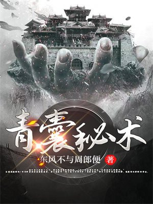 青囊秘术