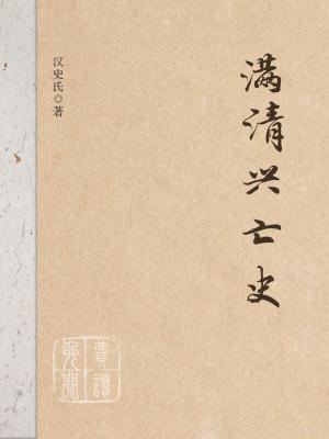 满清兴亡史