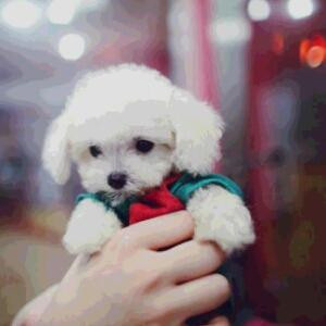 爱谁不如爱自己