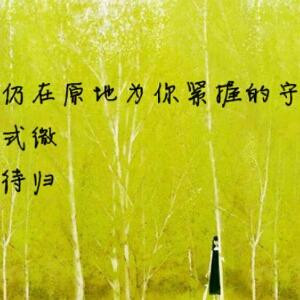 轻吟紫淑