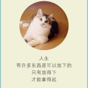 土地
