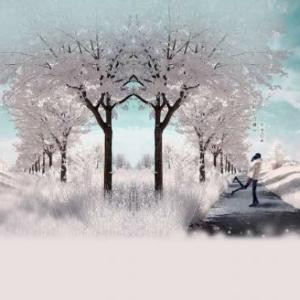 \等你陪我看雪