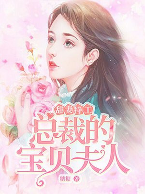 甜妻特工:总裁的宝贝夫人