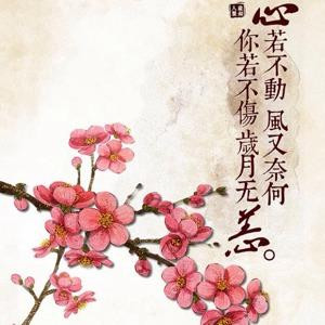 小歪