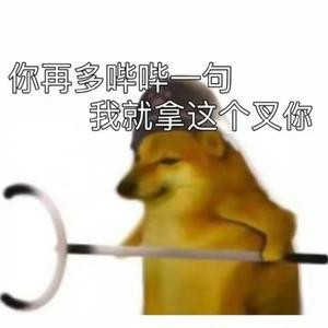 你再哔哔一句