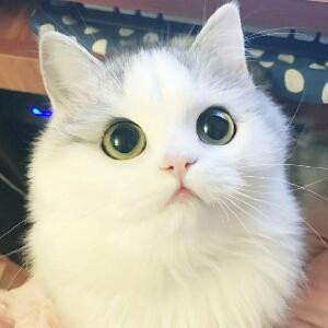 第一当铺