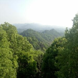 文湘逍遥