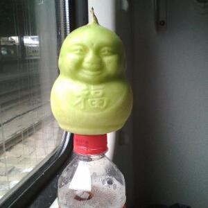 时光蹉跎