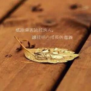 花开涟漪