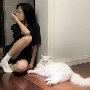 莓莓绵绵冰