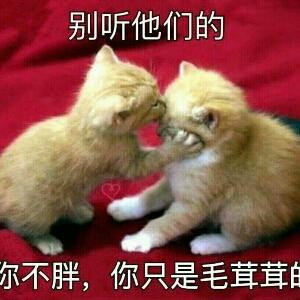 茜儿