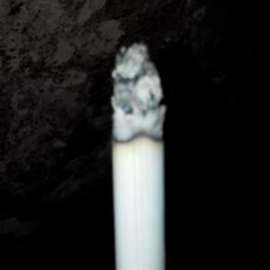 书虫