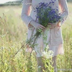 拾芜乄