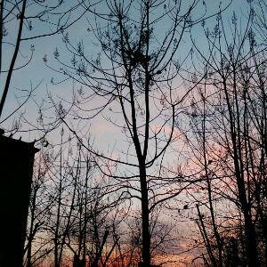 原来都只为等待